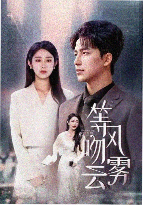 第七个证人剧集海报